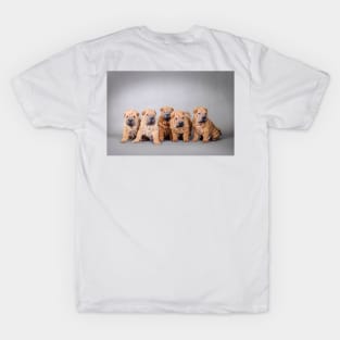 Chinese Shar pei puppies portrait T-Shirt